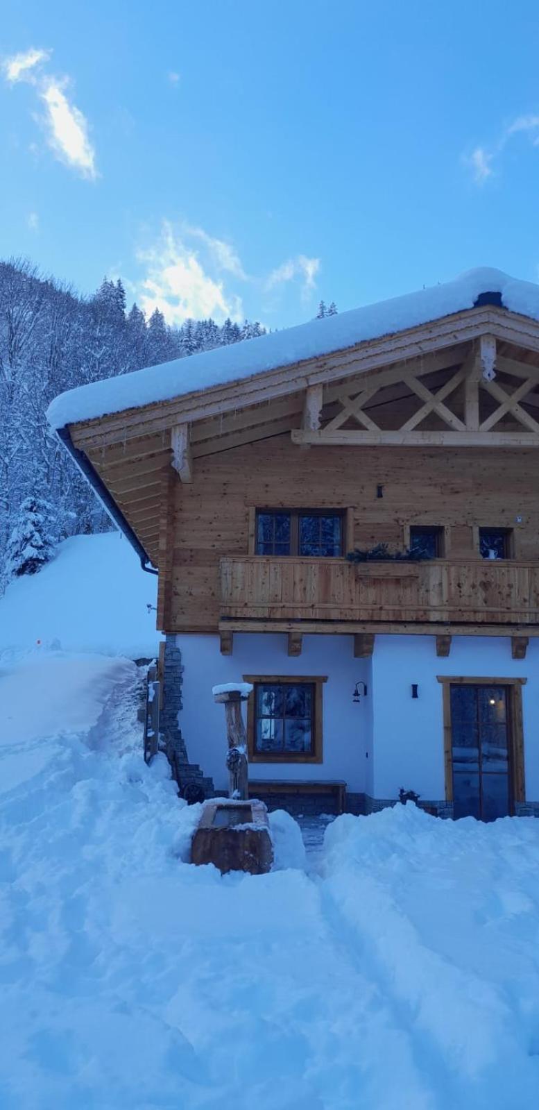 Riedlfeld Chalet Dienten am Hochkönig Εξωτερικό φωτογραφία